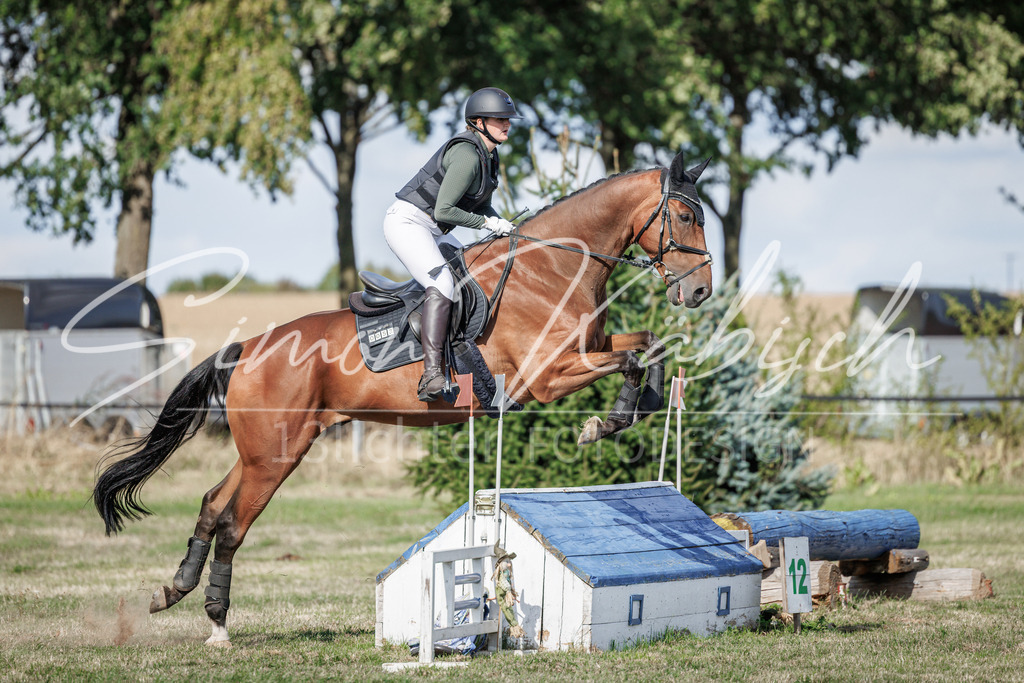 20260905-_3LI0038 | Tierfotografie Pferde, Hunde, Katzen, Haustiere.
Turnierfotografie Reitturniere, Reiten, Springreiten, Dressur in Hanau, dem Main-Kinzig-Kreis und dem Rhein-Main- Gebiet um Frankfurt