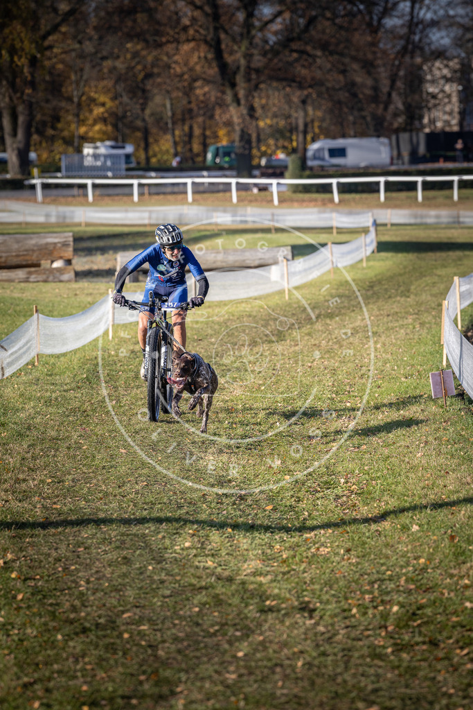 CaniXpix_DV3A2340 | Hundefotografie, Tierfotograf, Pfotenfotografie, Fotoshooting Hund, Hunde Portrait, Hundesport, Hundeportraits, Heideshooting, Hunde, Sportfotograf, Hundefotograf, Turnierhundsport, THS,  - Realisiert mit Pictrs.com