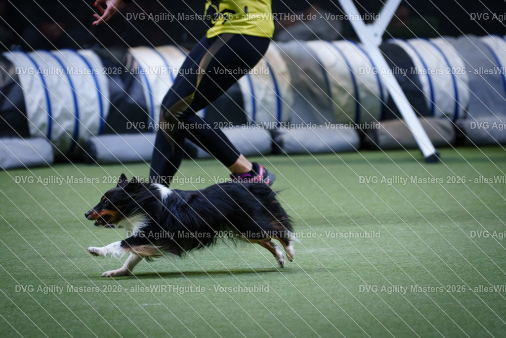 allesWIRTHgut_Tierfotografie-DVG_Agility_Masters_2026-13_21-7R503015 | Professionelle Tierfotografie in Mönchengladbach von Daniel Wirth (allesWIRTHgut). Liebevolle & natürliche Bilder von Hunden & Katzen für unvergessliche Erinnerungen.