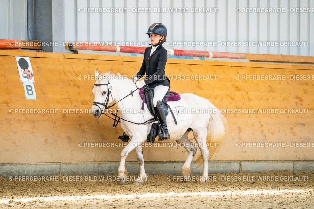 DSC03243 | Pferdegrafie