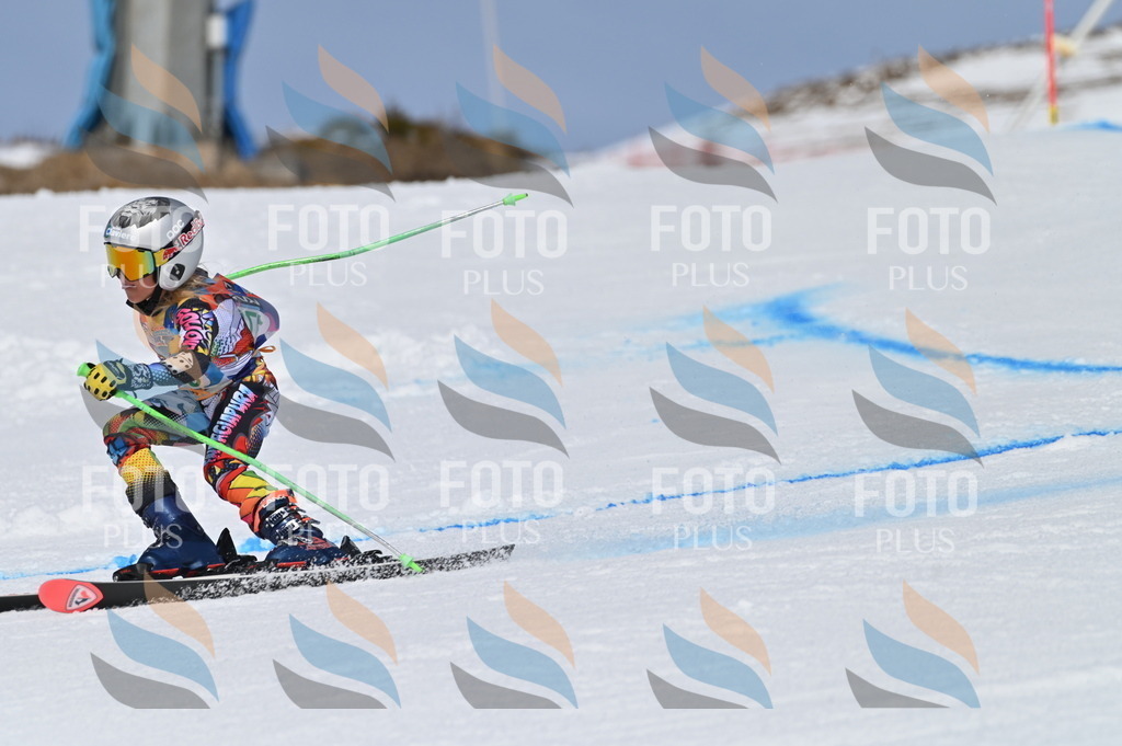 BGV_3526 | holidayphoto