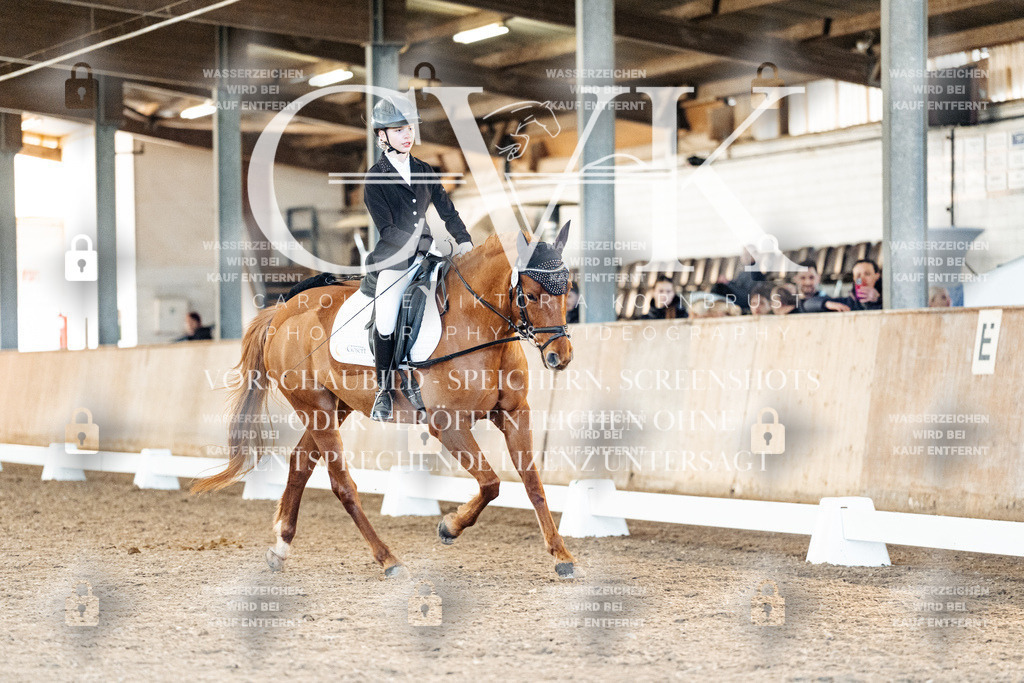 CK907882 | Turnierfotografie Pferdefotografie Trier Rheinland-Pfalz Pferdesport Reitsport Tierfotografie Sportfotografie Pferdevideo Pferdevideografie Equestrianvideography equestrianphotography  - Realisiert mit Pictrs.com
