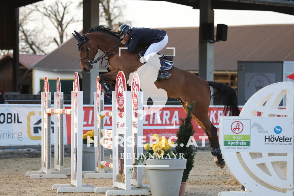 0P6A3323 | Willkommen bei Brunnmayr - Design & Fotografie – Ihrem Spezialisten für Reitturniere und Pferdeveranstaltungen in Oberösterreich, Salzburg und Bayern! Seit über 17 Jahren sind wir leidenschaftlich dabei.