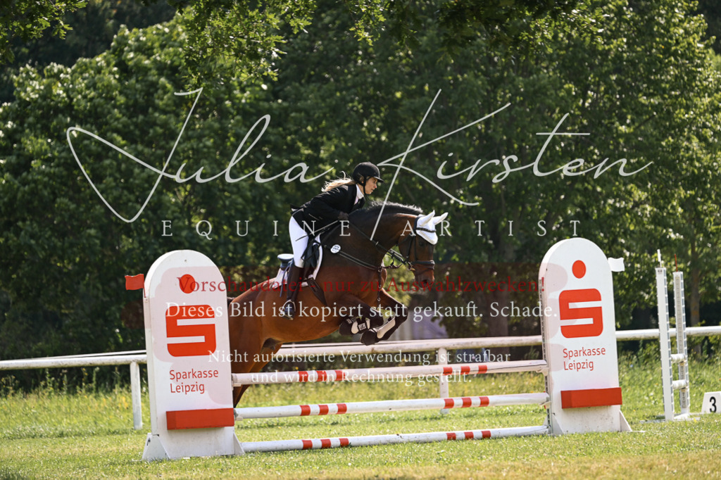 DSC_9009 | Pferde- und Turnierfotografie in Westsachsen. Pferdeportraits, Auftragszeichnungen und intuitive Kunst.
