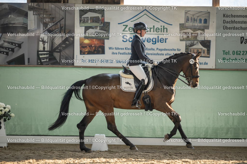 _D5A3081 | Emotionale Pferde- & People-Fotografie rund um Heidelberg, Leimen & Umgebung. Natürliche Fotos von Pferd, Mensch & Familie. Jetzt Termin sichern!