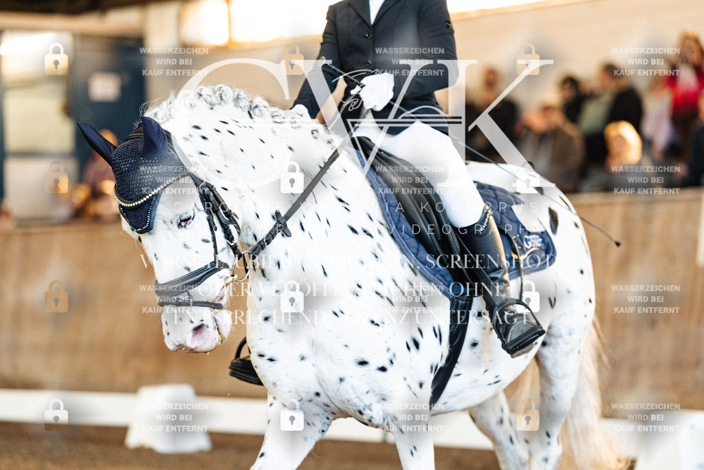 CK908911 | Turnierfotografie Pferdefotografie Trier Rheinland-Pfalz Pferdesport Reitsport Tierfotografie Sportfotografie Pferdevideo Pferdevideografie Equestrianvideography equestrianphotography  - Realisiert mit Pictrs.com