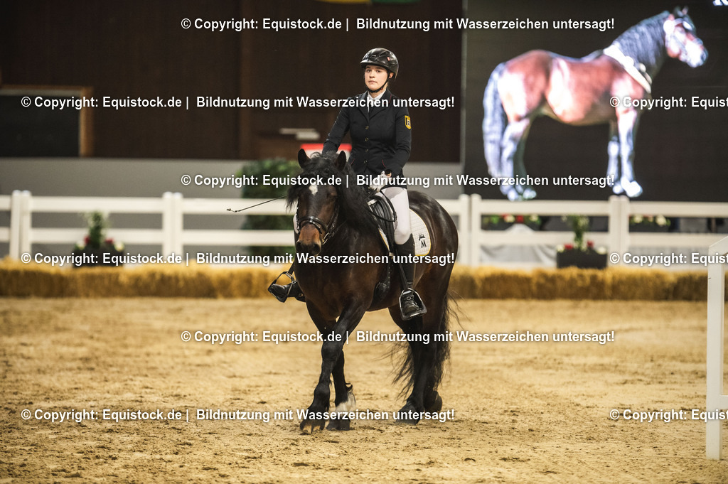 20240302_Hengstvorstellung_Marbach_TOMsPiC_0294 | equistock