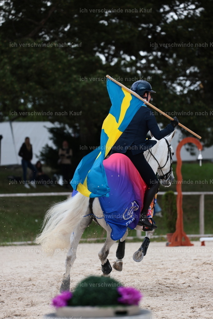 PI26_ST_StoibphotographyC2_L9389.JPG | working equitationturnier fotograf videograf stoibphotography marixx film working equitation deutschland reitsport turnierfotografie eventfotografie equestrian events