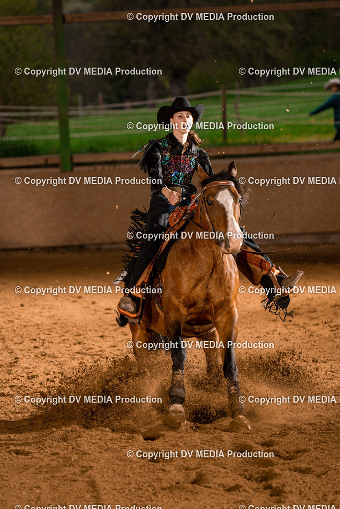 BAL01093 | dv-media-shop - Realisiert mit Pictrs.com