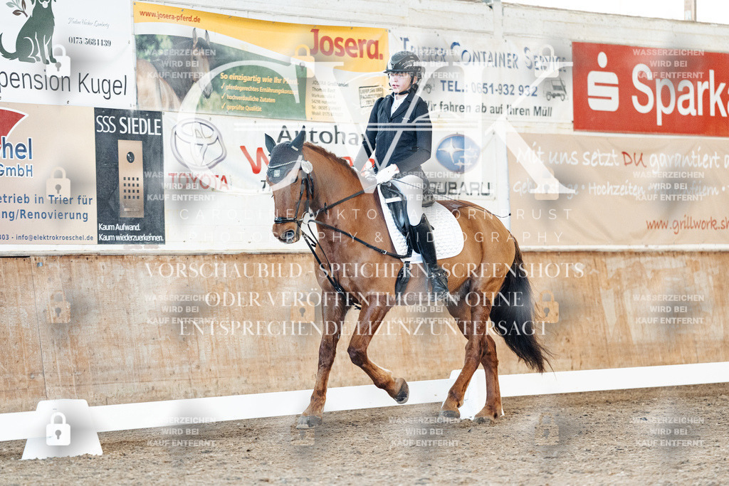 CK907789 | Turnierfotografie Pferdefotografie Trier Rheinland-Pfalz Pferdesport Reitsport Tierfotografie Sportfotografie Pferdevideo Pferdevideografie Equestrianvideography equestrianphotography  - Realisiert mit Pictrs.com