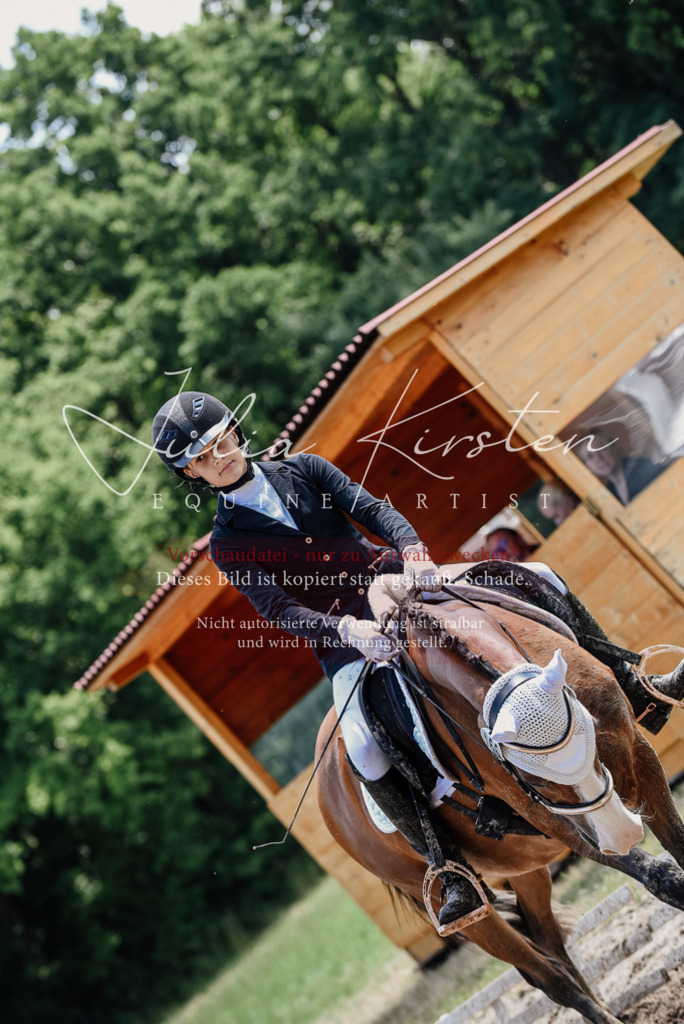 DSC_1932 | Pferde- und Turnierfotografie in Westsachsen. Pferdeportraits, Auftragszeichnungen und intuitive Kunst.