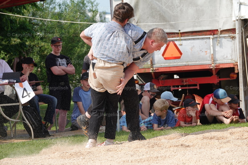 DSC04408 | Schwingen - Realisiert mit Pictrs.com