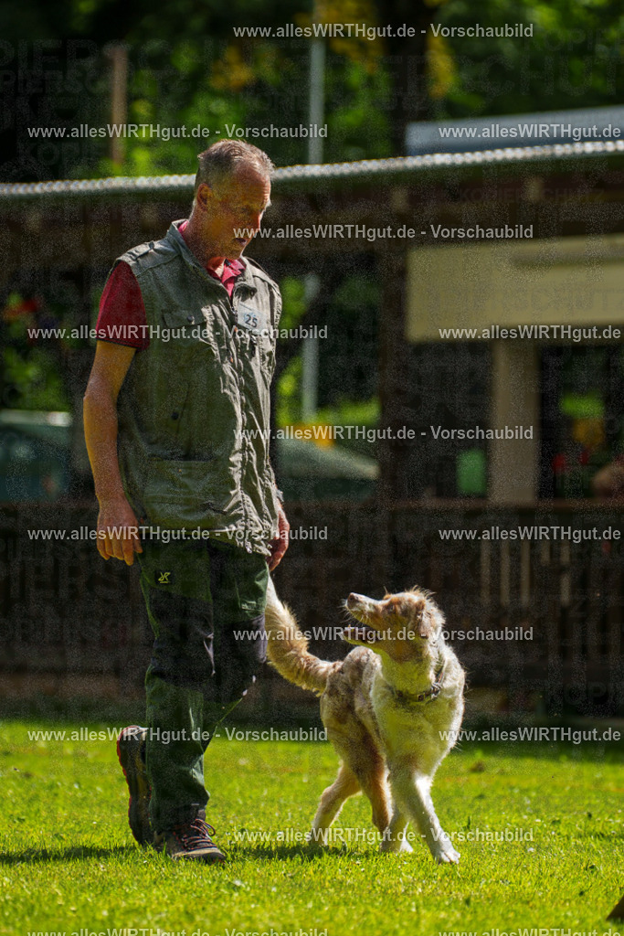 @allesWIRTHgut_Tierfotografie - www.allesWIRTHgut.de - 100115-7R507955 | Professionelle Tierfotografie in Mönchengladbach von Daniel Wirth (allesWIRTHgut). Liebevolle & natürliche Bilder von Hunden & Katzen für unvergessliche Erinnerungen.