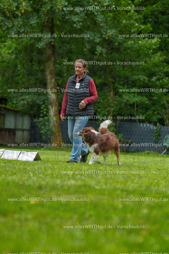 @allesWIRTHgut_Tierfotografie - www.allesWIRTHgut.de - 7R501506 | Professionelle Tierfotografie in Mönchengladbach von Daniel Wirth (allesWIRTHgut). Liebevolle & natürliche Bilder von Hunden & Katzen für unvergessliche Erinnerungen.