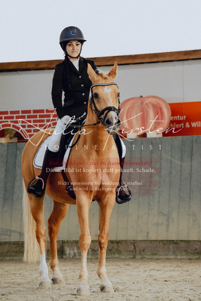 DSC_7198 | Pferde- und Turnierfotografie in Westsachsen. Pferdeportraits, Auftragszeichnungen und intuitive Kunst.