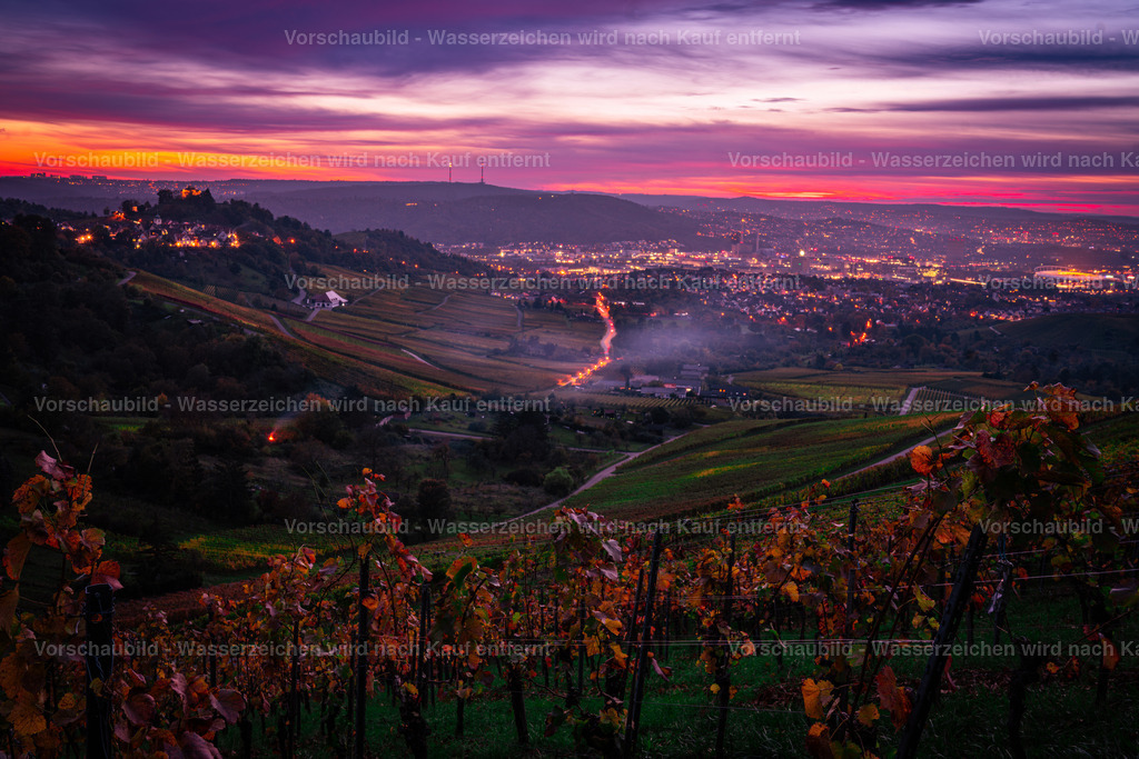 DSC05964-Enhanced-NR | marcuslinek