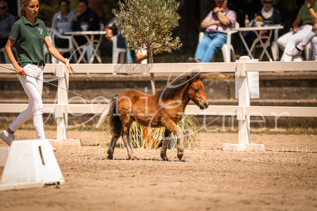 01.DoKR00032 | Leoni Ertmer Photography - Realisiert mit Pictrs.com