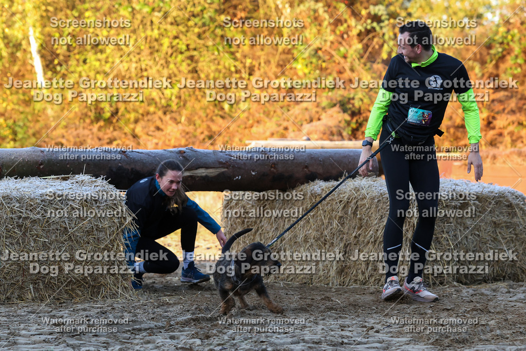 Dog Paparazzi - Strongdog 10-25-452 | Dog Paparazzi Jeanette Grottendiek Fotografie & Videografie - Realisiert mit Pictrs.com