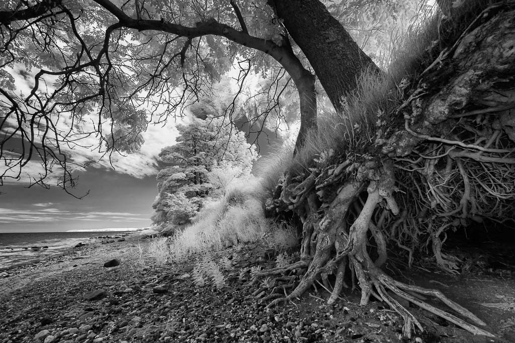 daenemark-2016-216 | Ostseeküste am Rand des Waldes Nørreskov an der Ostküste der Insel Als/Alsen in Dänemark - Realisiert mit Pictrs.com