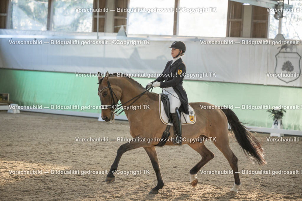 _D5A0889 | Emotionale Pferde- & People-Fotografie rund um Heidelberg, Leimen & Umgebung. Natürliche Fotos von Pferd, Mensch & Familie. Jetzt Termin sichern!