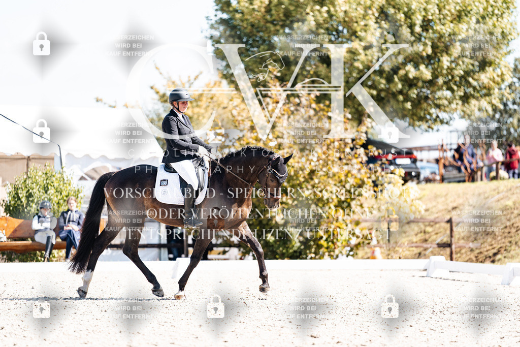 CK903628 | Turnierfotografie Pferdefotografie Trier Rheinland-Pfalz Pferdesport Reitsport Tierfotografie Sportfotografie Pferdevideo Pferdevideografie Equestrianvideography equestrianphotography  - Realisiert mit Pictrs.com