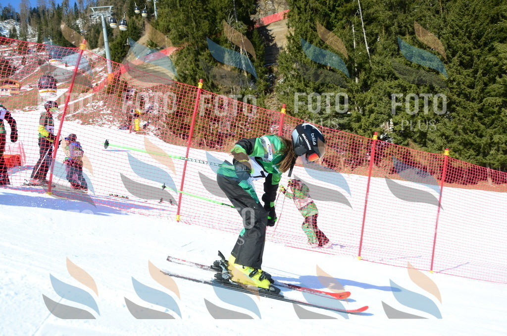 C5492 | holidayphoto