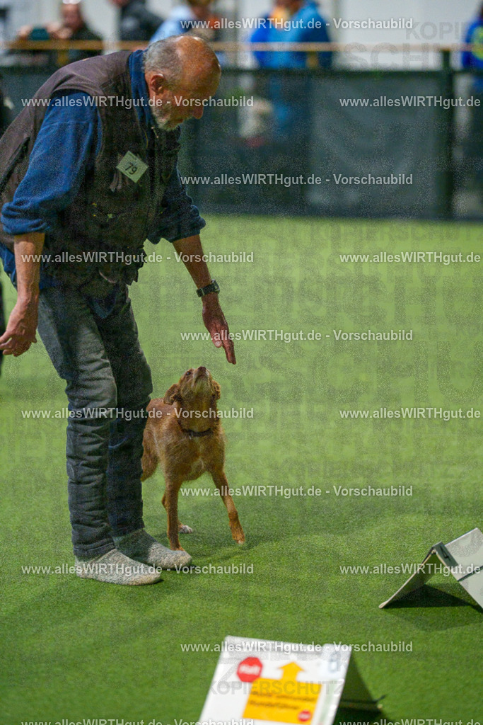 7R507605 | Professionelle Tierfotografie in Mönchengladbach von Daniel Wirth (allesWIRTHgut). Liebevolle & natürliche Bilder von Hunden & Katzen für unvergessliche Erinnerungen.