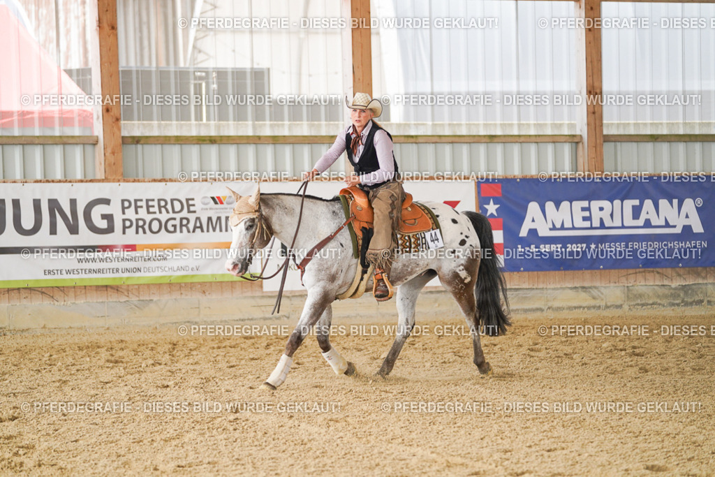 DSC01980 | Pferdegrafie