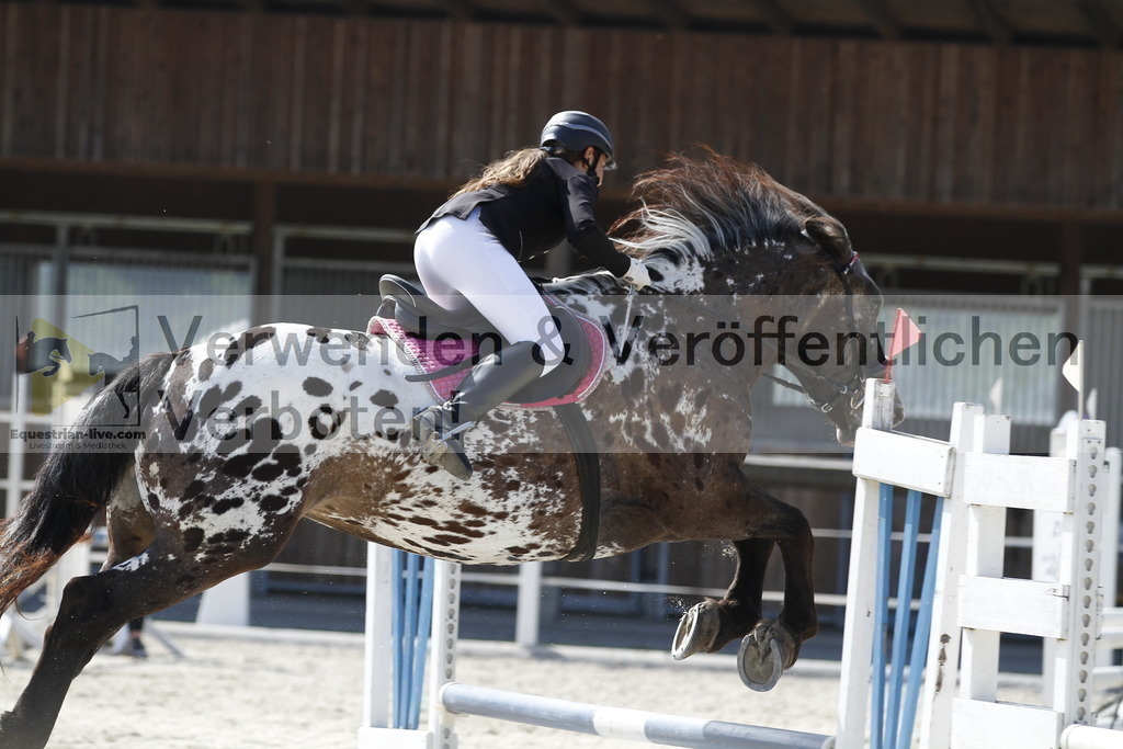 _MG_3443 | equestrian-live-com