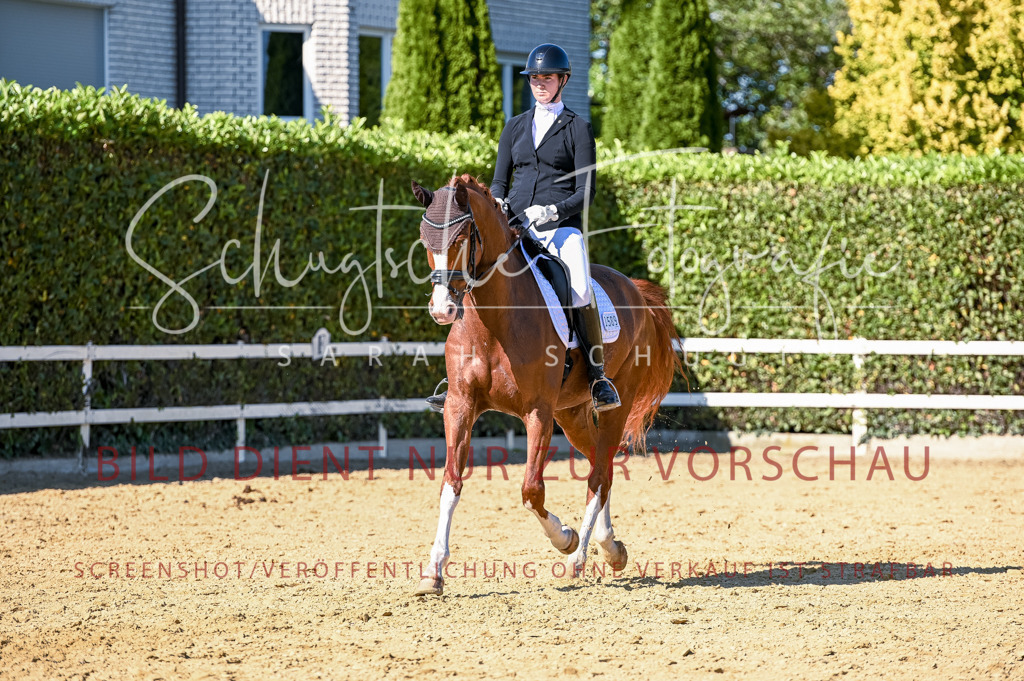 Schugtsche-Aluta25-50.Dressurpferdeprf.L-274 | Schugtsche Fotografie - Realisiert mit Pictrs.com