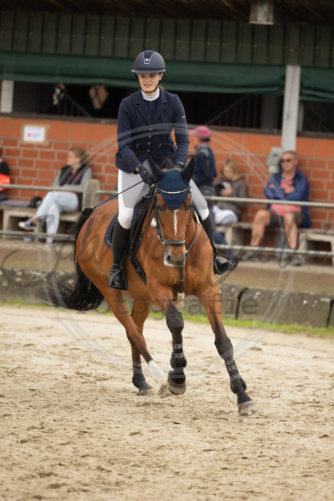 994A9200 | sabrinanicolaifotografie - Realisiert mit Pictrs.com