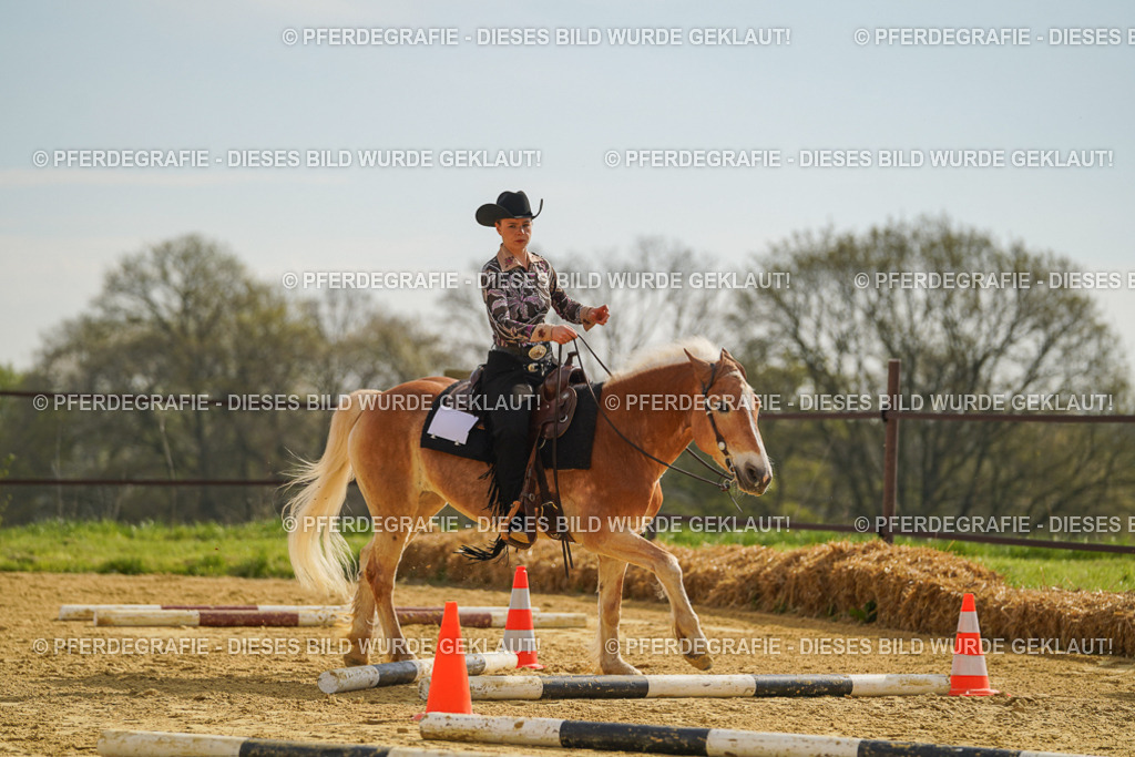 DSC01726 | Pferdegrafie