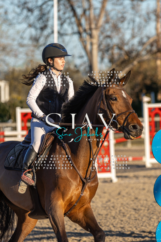 IMG_2803 | s-jay-photography - Realisiert mit Pictrs.com