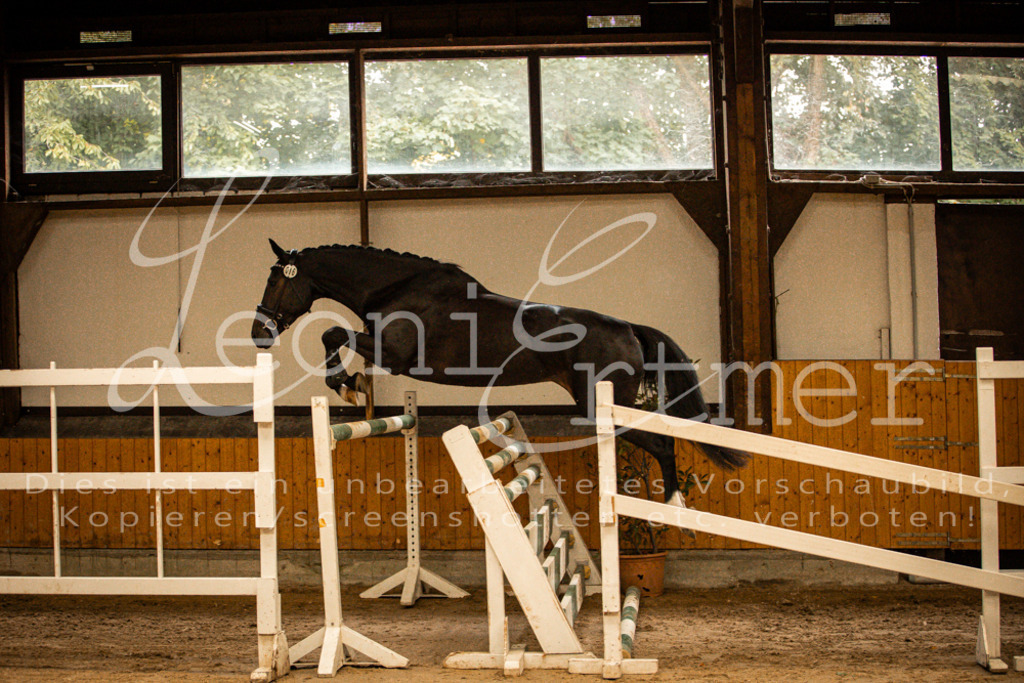 2FS_L00054 | Leoni Ertmer Photography - Realisiert mit Pictrs.com