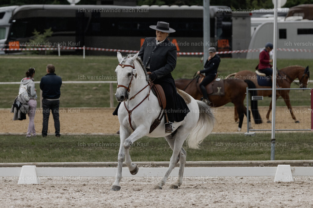 WE_DR_Stoib_321_PI2025_343 | Pferd International München 2025