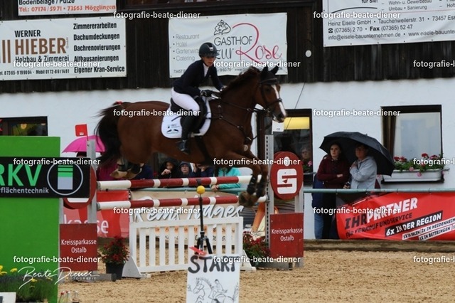 OHT2341 | Fotografie, Tiere, Hunde, Katzen, Pferde, Sportfotografie, Fotosession, Tierfotografie, Turnierfotografie, Fotografin, Fotograf - Realisiert mit Pictrs.com