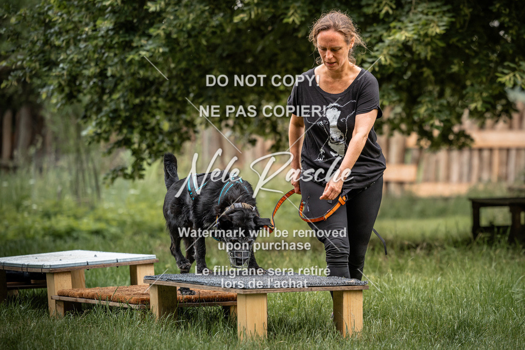 nelerasche_So-funtrail_184 | nelerasche