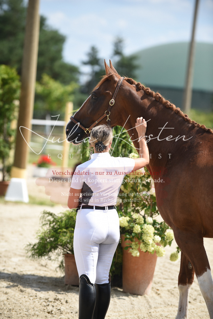 DSC_8983 | Pferde- und Turnierfotografie in Westsachsen. Pferdeportraits, Auftragszeichnungen und intuitive Kunst.