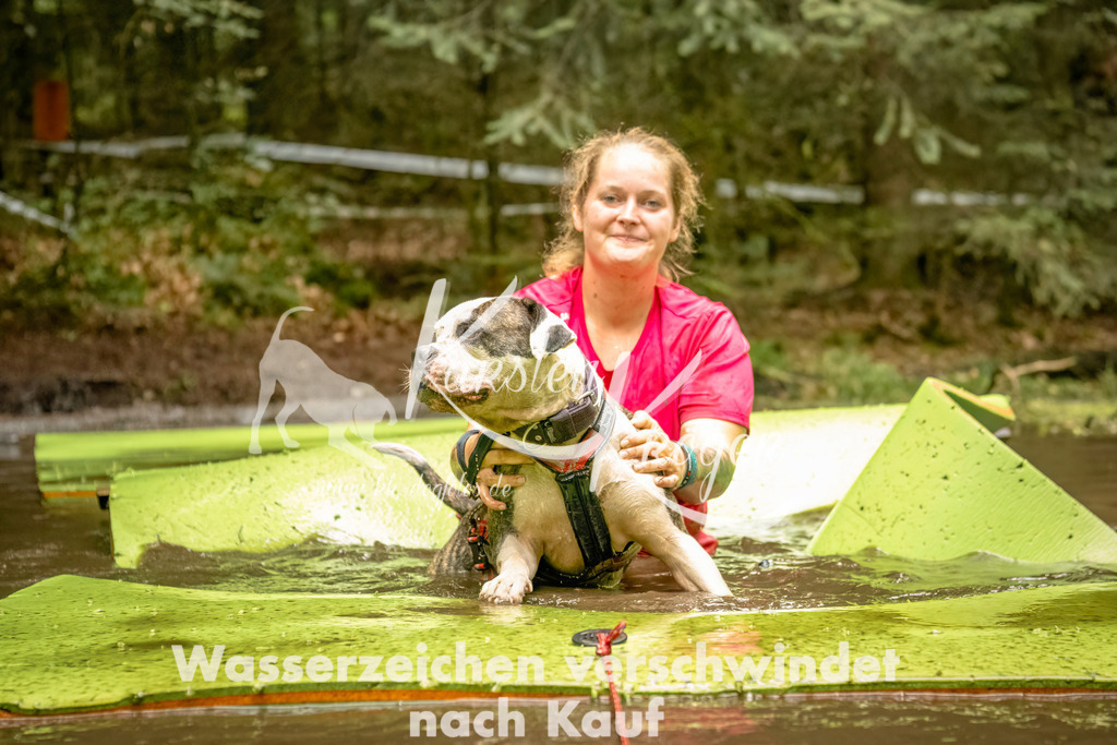 1426_ZZ92425-Bearbeitet | kk-dogfotos