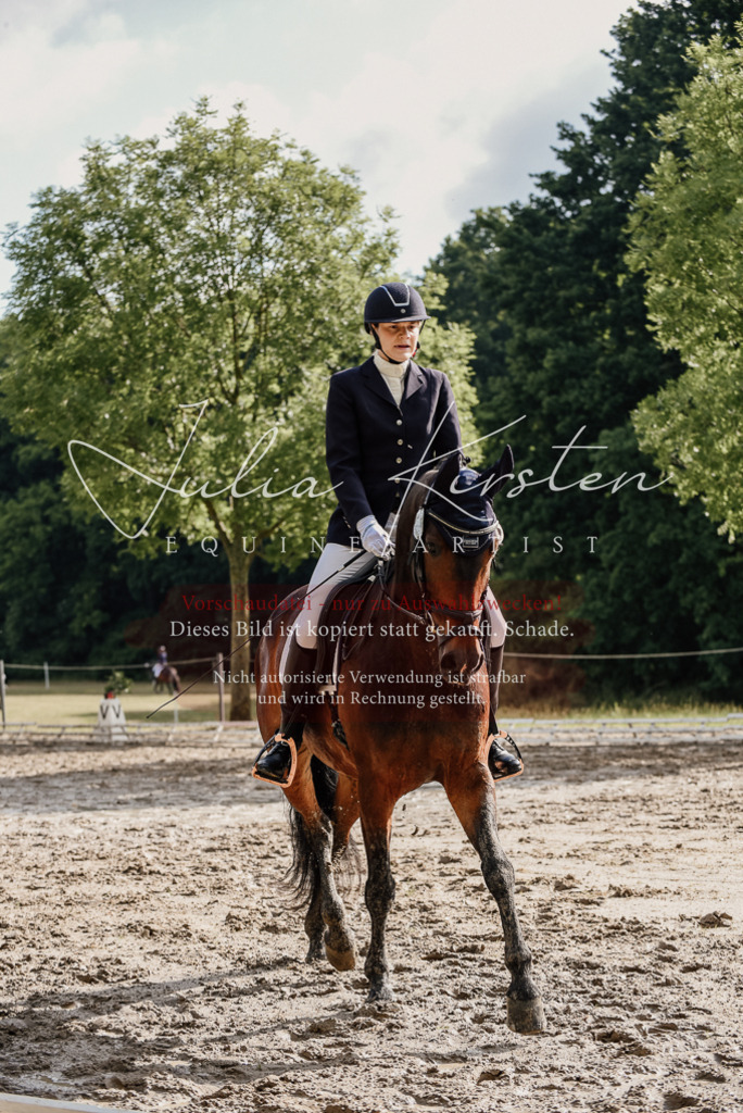 DSC_8742 | Pferde- und Turnierfotografie in Westsachsen. Pferdeportraits, Auftragszeichnungen und intuitive Kunst.