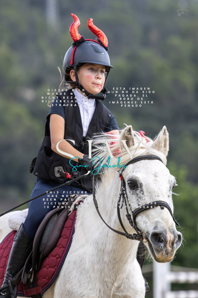 IMG_2292 | s-jay-photography - Realisiert mit Pictrs.com