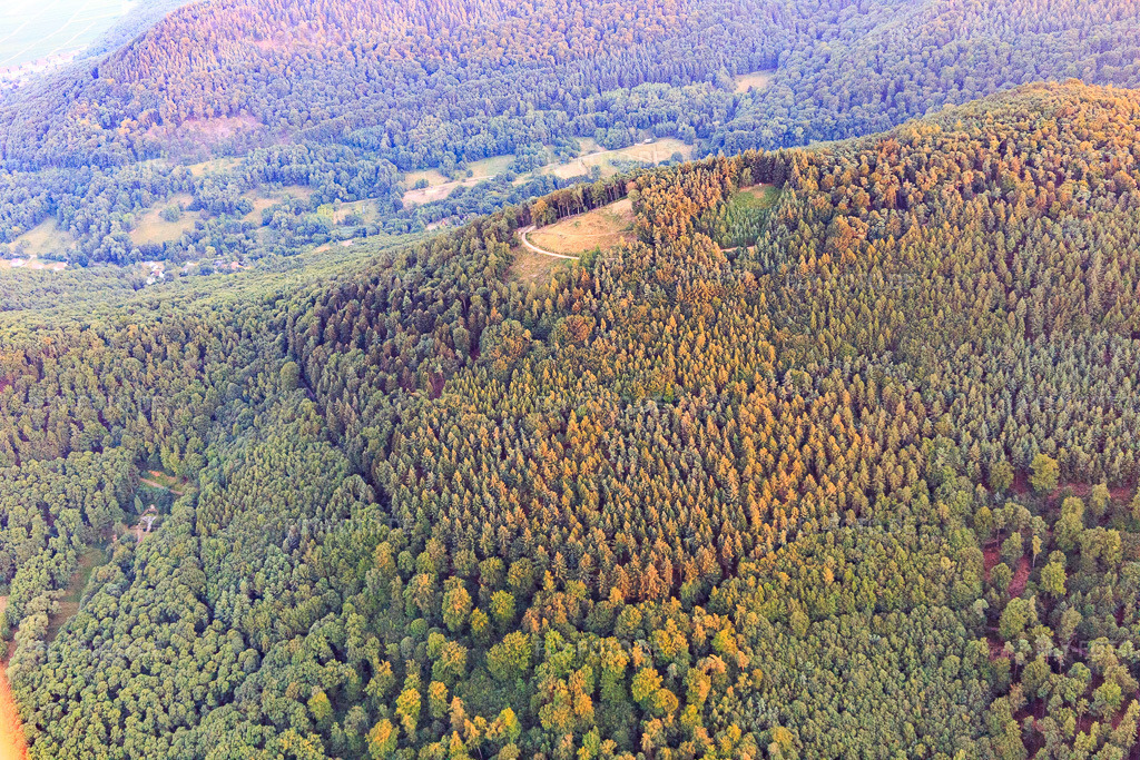 Luftbild: Gleitschirmstartplatz Förlenberg in Leinsweiler im Bundesland Rheinland-Pfalz in Deutschland. Foto: IMG_109286.jpg vom 27.07.2018 durch Werner Riehm/FLY-FOTO.de