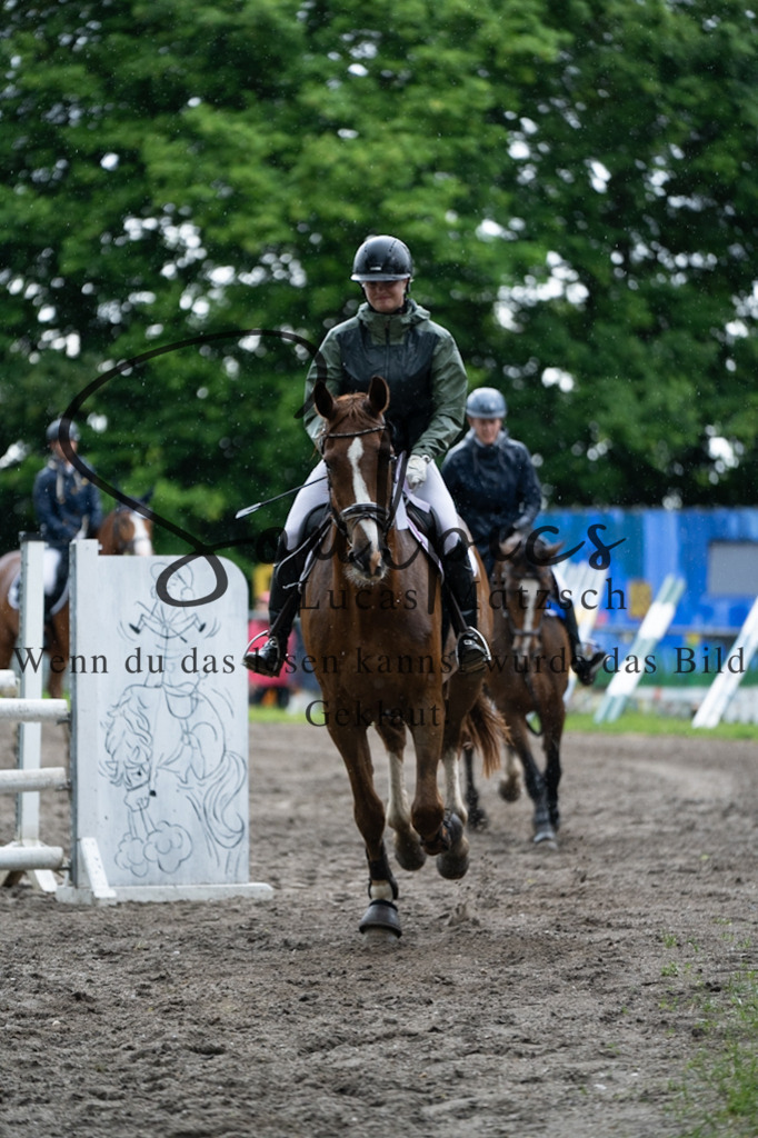 A7V05072 | Pferdefotograf