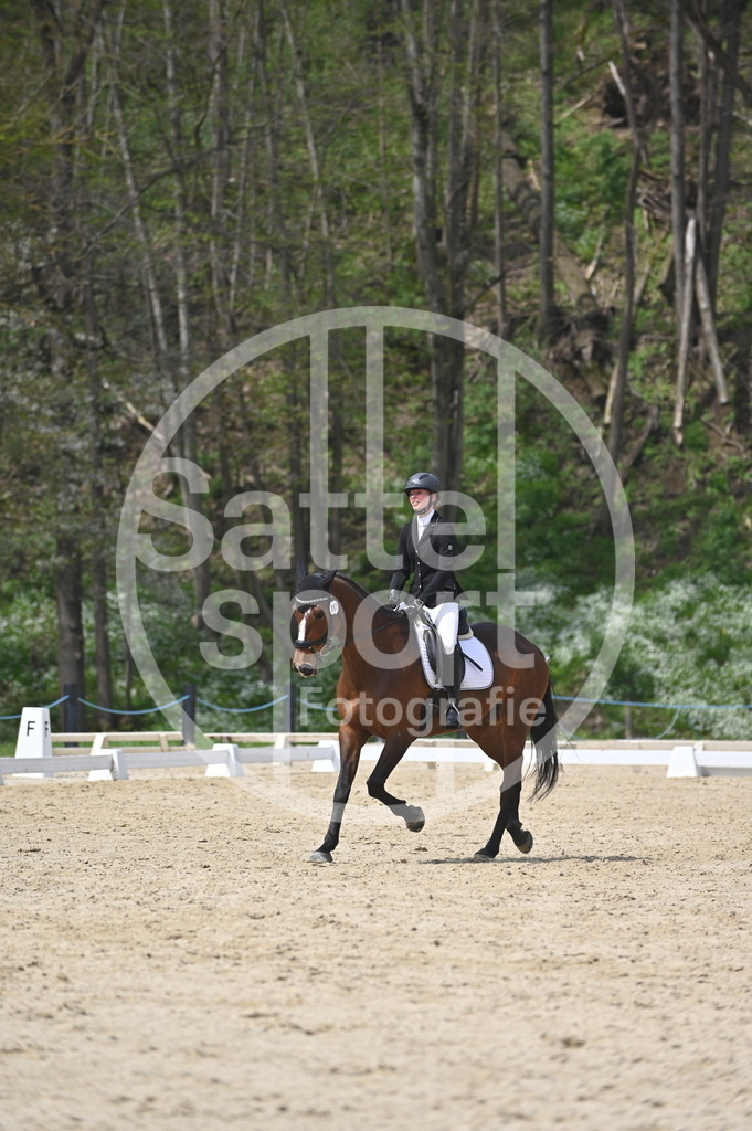 DSC_3190 | sattelsport - Realisiert mit Pictrs.com