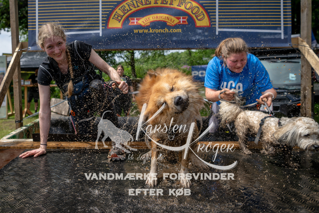 1117_ZZ93646 | kk-dogfotos