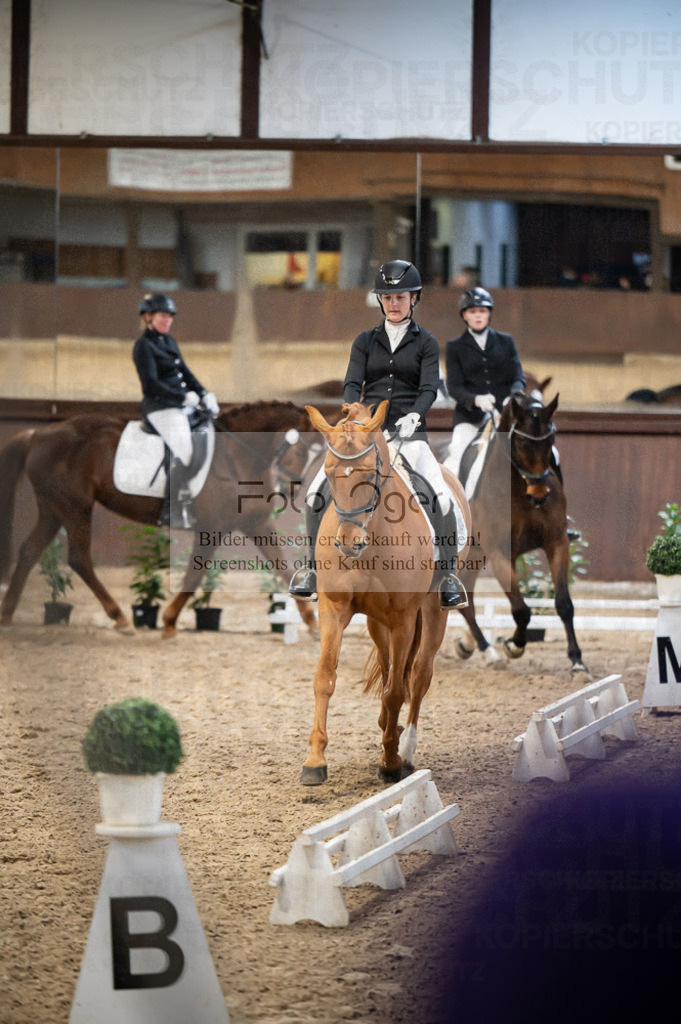 Hallenreittunier Voxtrup 2023 | Entdecke hochwertige Reitturnierfotos von Foto Oger. Professionell, emotional und authentisch – jetzt Lieblingsmomente im Shop bestellen.Deutschlandweite Turnierfotografie. - Realisiert mit Pictrs.com