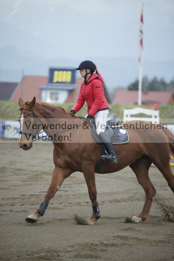 _DSC3310 | equestrian-live-com