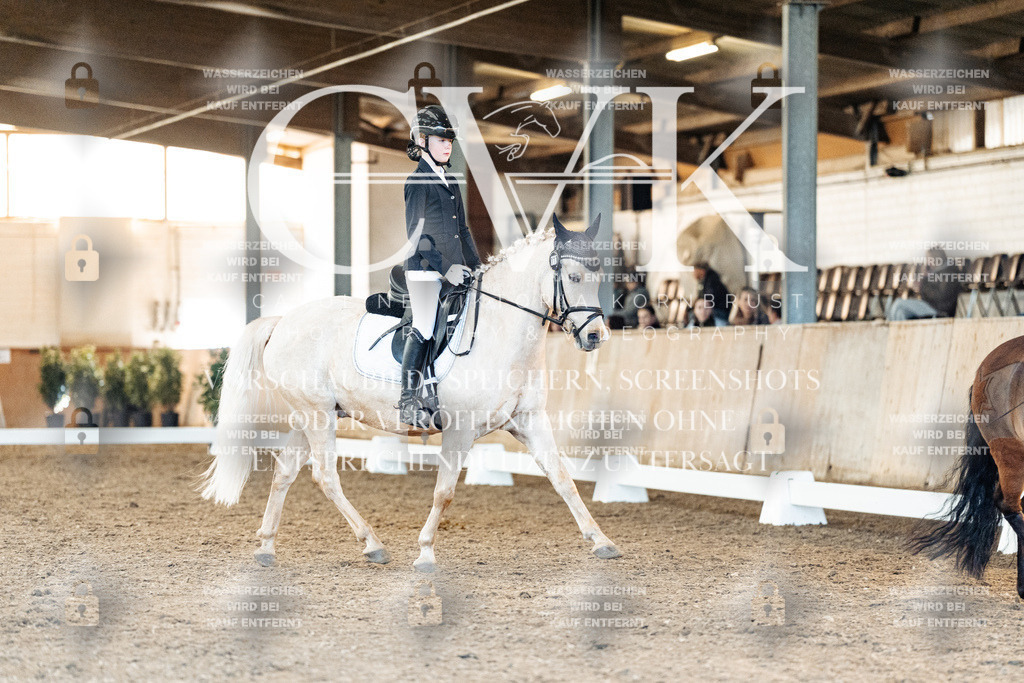 CK907466 | Turnierfotografie Pferdefotografie Trier Rheinland-Pfalz Pferdesport Reitsport Tierfotografie Sportfotografie Pferdevideo Pferdevideografie Equestrianvideography equestrianphotography  - Realisiert mit Pictrs.com