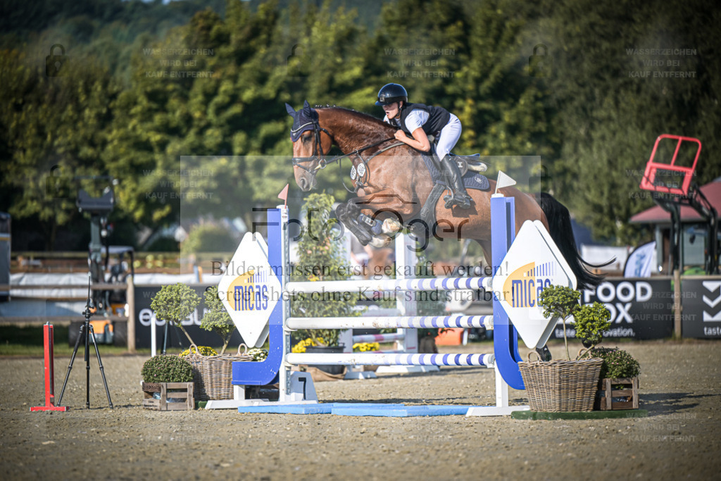 DOS_2584 | Entdecke hochwertige Reitturnierfotos von Foto Oger. Professionell, emotional und authentisch – jetzt Lieblingsmomente im Shop bestellen. - Realisiert mit Pictrs.com