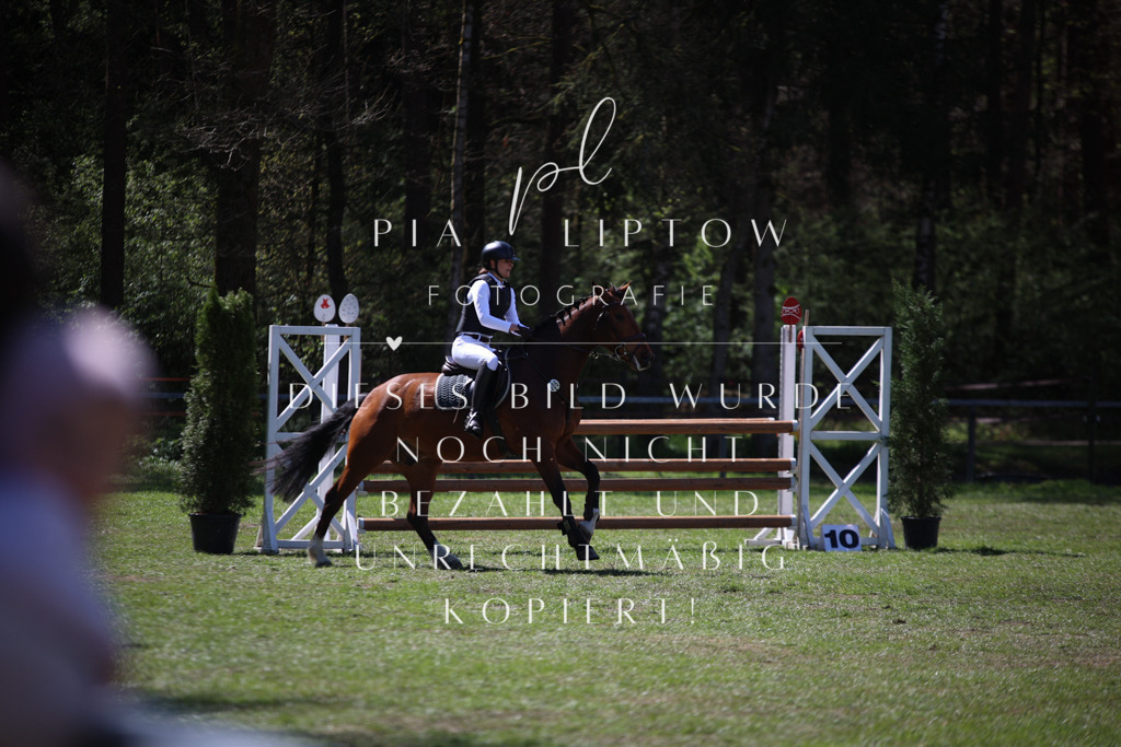 IMGT1013 | pl-fotografie